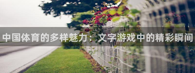 3377体育官方正版app官网：中国体育的多样魅力：