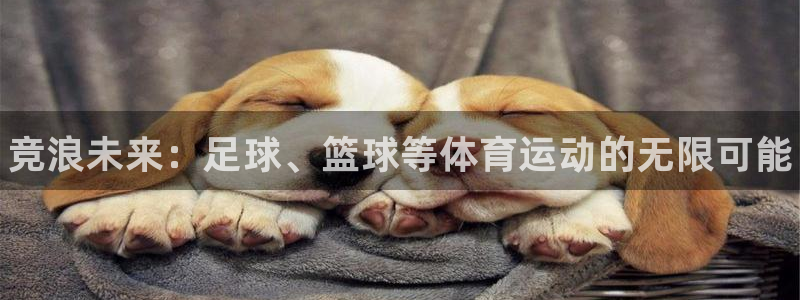 3377体育官方正版app娱乐代理怎么样：竞浪未来：