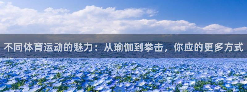 注册3377体育官方正版app：不同体育运动的魅力：