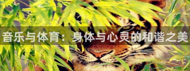 3377体育官网下载招商电话是多少：音乐与体育：身体