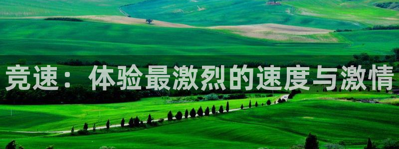 3377体育官网下载平台是正规平台吗知乎：竞速：体验最激烈的