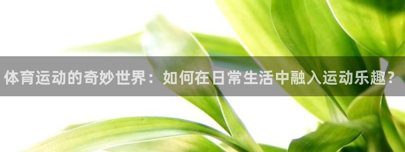 海南3377体育官网下载：体育运动的奇妙世界：如何在日常生活
