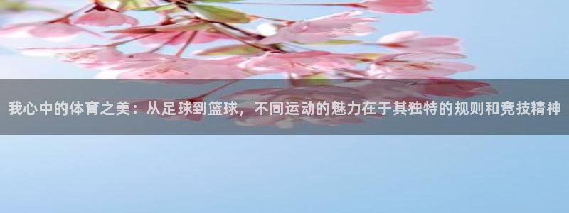 3377体育官网下载平台：我心中的体育之美：从足球到