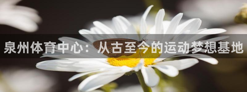 3377体育官网下载招商电话地址：泉州体育中心：从古至今的运