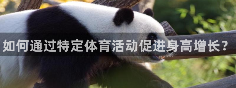 3377体育官网下载招商电话是多少啊：如何通过特定体育活动促