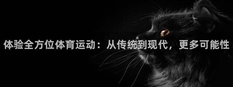 3377体育官方正版app娱乐首页网站大全：体验全方