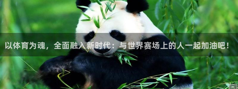3377体育官方正版app娱乐首页网站大全：以体育为
