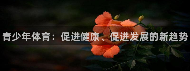 3377体育官方正版app代理：青少年体育：促进健康