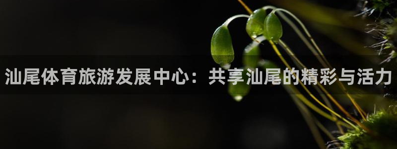 3377体育官方正版app集团官网首页：汕尾体育旅游发展中心