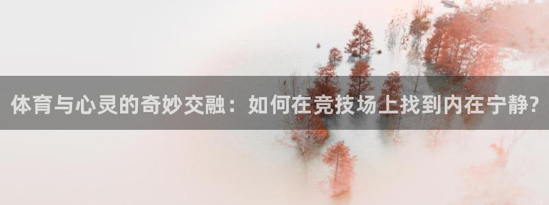 3377体育官方正版app代理：体育与心灵的奇妙交融
