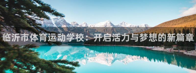 3377体育官方正版app科技：临沂市体育运动学校：开启活力