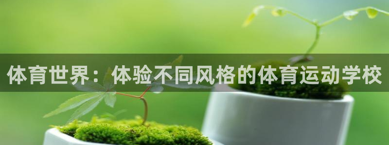 3377体育官网下载招商电话是多少：体育世界：体验不