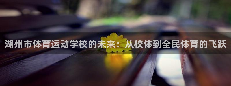 3377体育官方正版app科技：湖州市体育运动学校的未来：从
