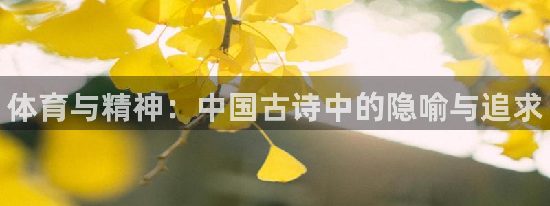 3377体育官网下载招商电话号码查询：体育与精神：中国古诗中