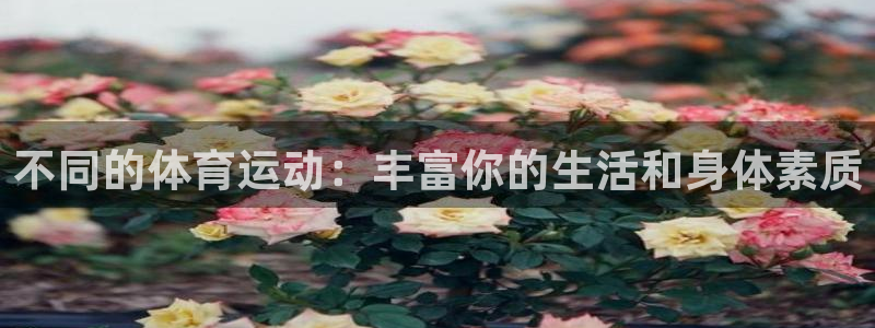 3377体育官方正版app娱乐是那个系列的台子：不同的体育运